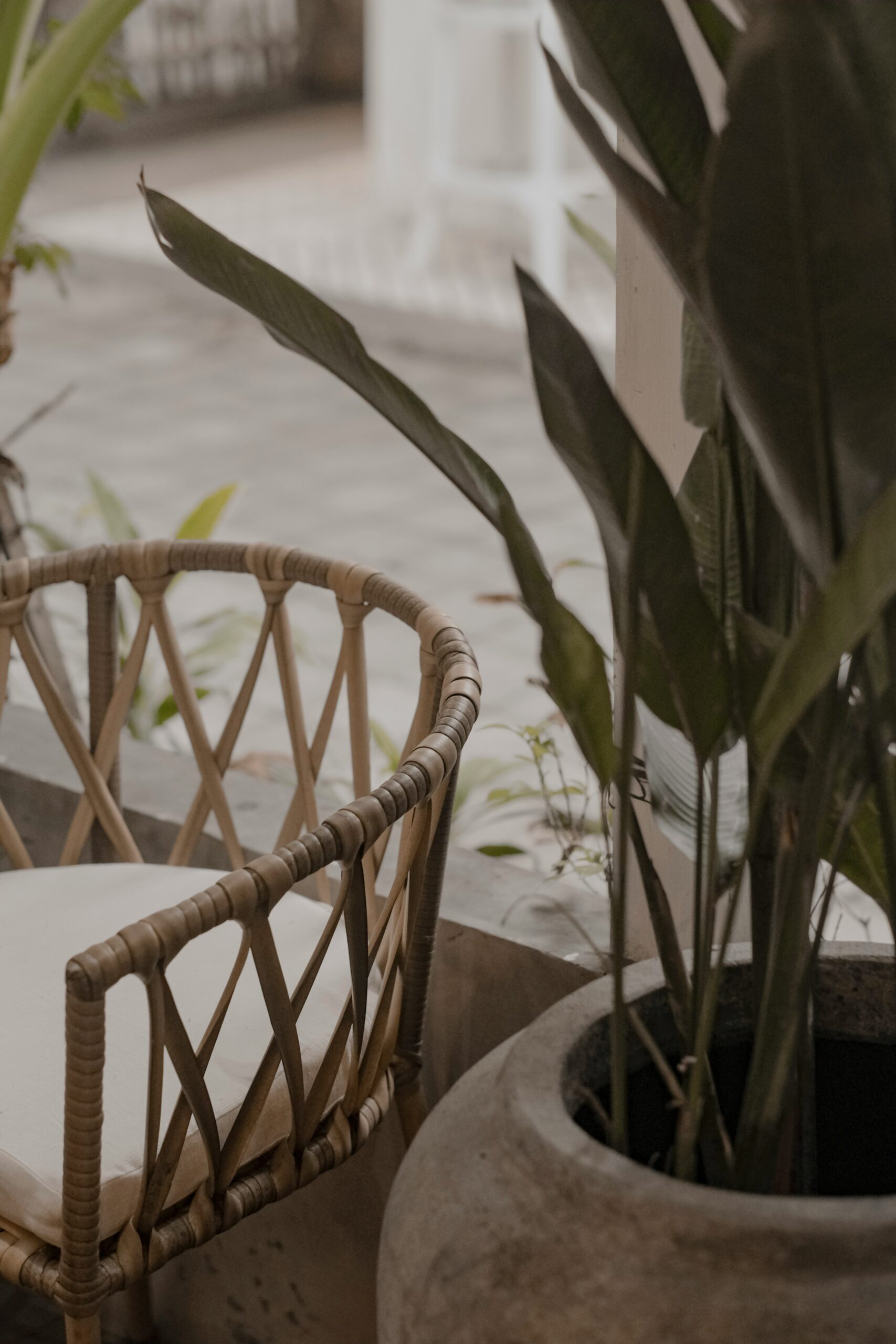 hotel consultant services